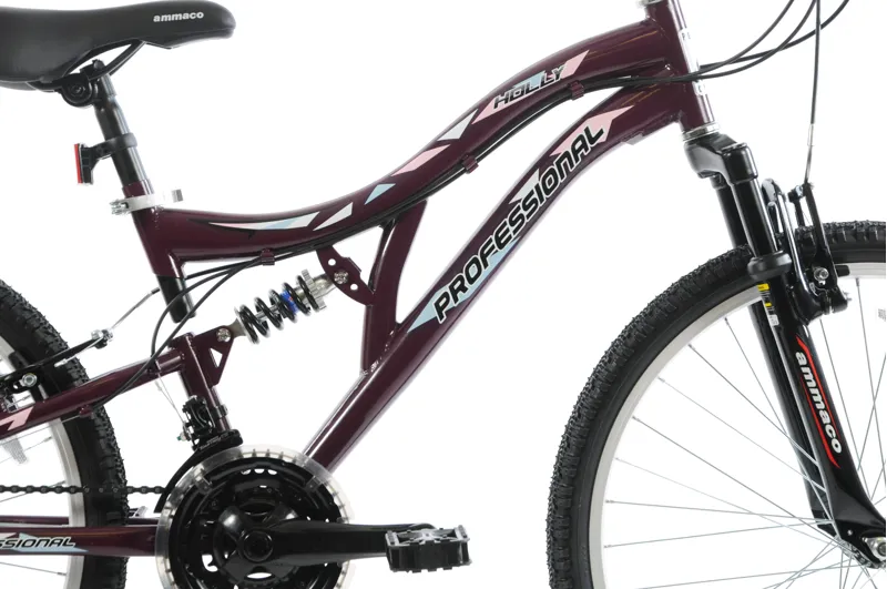 Professional Holly 26 Inch Mountain Bike Purple-4